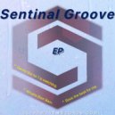 Sentinel Groove - Dance like no 1 is watching.