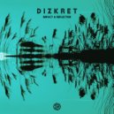 Dizkret - Reflection