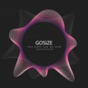 Gosize - You Dont See Me Now