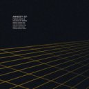 Fardin Ameri & A Blade of Grass - Amnesty (Stoilku Remix)