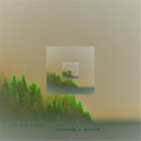 Shamano - Chasing A Dream