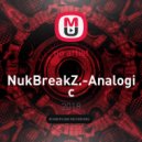 NukBreakZ - Analogic Bits (original mix)