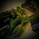 C-Mash & Benihana Boy - Tite Karela