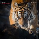Orion - Ethical Standards