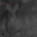 Despoin - Black Orbit (Original Mix)