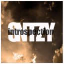 SNTZY - Introspection (Radio)