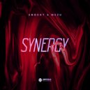 Enocky & Mezu - Synergy