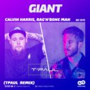 Calvin Harris & Rag\'n\'Bone Man - Giant (TPaul Remix)