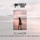 DJ Amor - No Way (Mark Silengton Remix)
