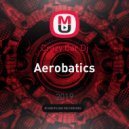 Crazy Car Dj - Aerobatics
