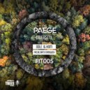 Paege - Diversity (Dirty Sandwich Remix)