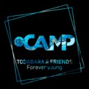 Todabara & Studio D.T. - Roller Coaster (Original Mix)