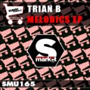 Trian B - Melodicss (Original Mix)