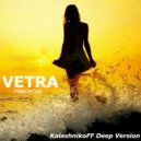 VETRA - Навсегда (KalashnikoFF remix) ()