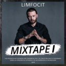 Limfocit - Начало (Original Mix)
