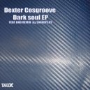 Dexter Cosgroove & snikoplas - Dark soul (Snikoplas Remix)