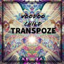 Voodoo Child - Transpose (Original Mix)