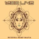 1200 Live - Trufflemagic