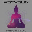 Psy-Sun - O Daime e a Minha Luz