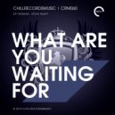 UP-Thekkar & Steve Night - What are You Waiting For