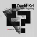 David Kri - The Speech Of The Birds (Original mix)