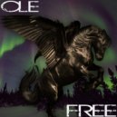 Ole - Raum 2 Sound