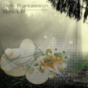Birk Borkasson - Småland