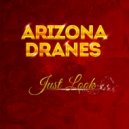 Arizona Dranes & Southern Sanctified Singers - I'll Go Where You Want Me To Go