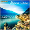 Mauro Spano - Techfidema