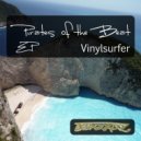 Vinylsurfer - Dream Distortion