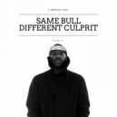 J Bravo CAG & DJ Agent M - Same Bull Different Culprit
