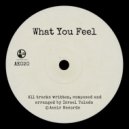 Israel Toledo - What You Feel