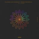 Following Light, Risingsun - Dreams of Metropolis (Original Mix)