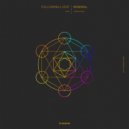 Following Light - Tutelar (Original Mix)