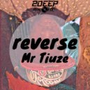 Mr. Tiuze - Reverse (Original mix)