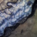 Refracted - Terran (Original mix)