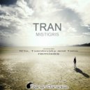 Tran - Sleepless ()