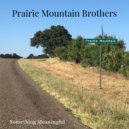 Prairie Mountain Brothers - Something Meaningful ()