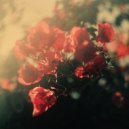 Blackbird Blackbird - Hearts