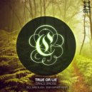 Dance Bridge - True Or Lie (Original Mix)