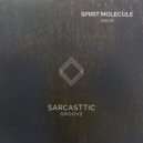 MAVN - Spirit Molecule