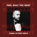 Phonique Feat. Rebecca - Feel What You Want (Taner Ozturk Remix)