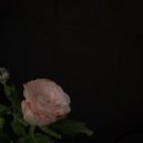 nctrn - Hi, I Love U