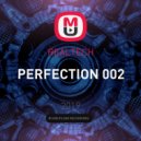 REALTECH - PERFECTION 002 ()