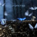Signate - Playing in the Rain