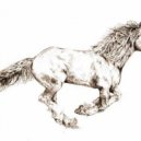 Johan Horses - Galop (Original Mix)