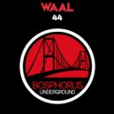Waal - Metal Flowers (Original Mix)