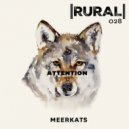 Meerkats - Attention (Robin Schellenberg Remix)