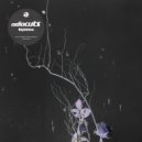 Radiocuts - Nighttime