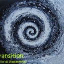dj shamantema - Transition (Original Mix)